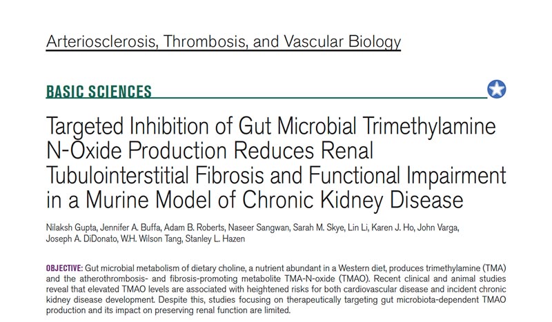 screenshot of an article about Targeted Inhibition of Gut Microbial Trimethylamine N-Oxide Production Reduces Renal Tubulointerstitial Fibrosis and Functional Impairment in a Murine Model of Chronic Kidney Disease